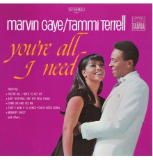 Marvin Gaye - Tammi Terrell - You're All I Need