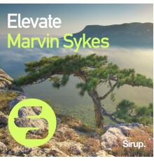 Marvin Sykes - Elevate