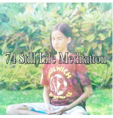 Massage Therapy Music - 74 Still Life Meditation