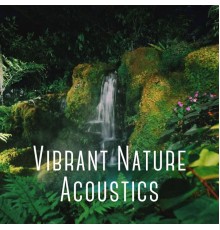 Massagely Musicton, Ultimate Spa Music, Nature Sounds XLE Library - Vibrant Nature Acoustics