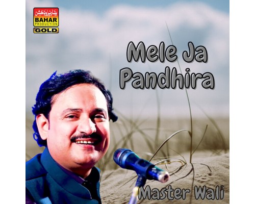 Master Wali - Mele Ja Pandhira