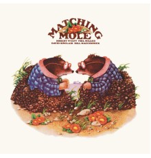 Matching Mole - Matching Mole