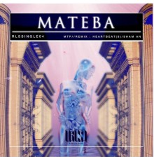 Mateba - MTP