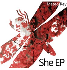 Mateo Rey - She Ep