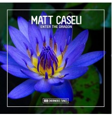 Matt Caseli - Enter the Dragon