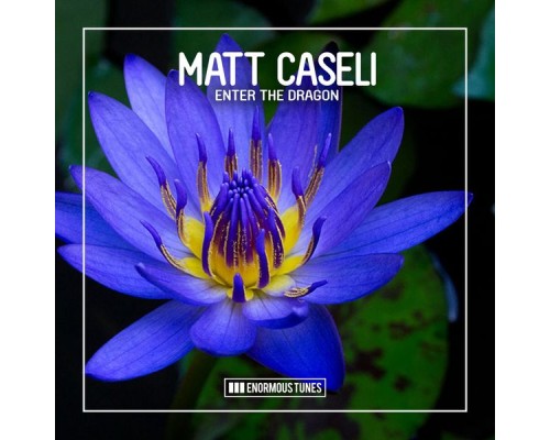 Matt Caseli - Enter the Dragon