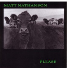 Matt Nathanson - Please