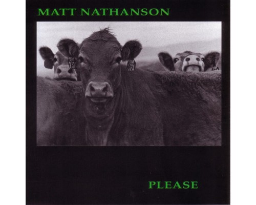 Matt Nathanson - Please