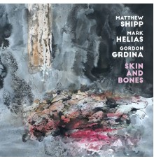 Matthew Shipp, Mark Helias & Gordon Grdina - Skin and Bones