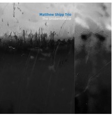 Matthew Shipp Trio - The Unidentifiable