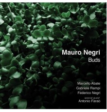 Mauro Negri - Buds