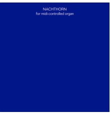 Maxime Denuc - Nachthorn