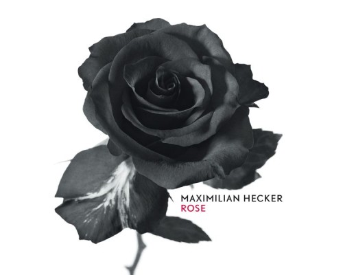 Maximilian Hecker - Rose