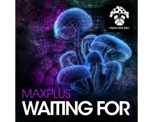 Maxplus - Waiting For