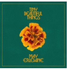 May Erlewine - Tiny Beautiful Things