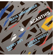 Maya Homburger, Barry Guy and Lucas Niggli - Acanthis