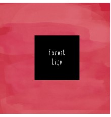 Mccafferty - Forest Life