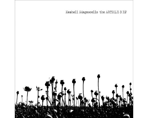 Me'Shell Ndegeocello - The Article 3