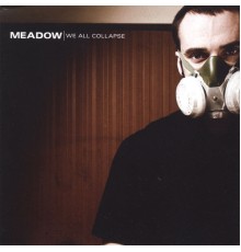 Meadow - We all collapse