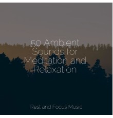 Meditação Clube, Avslappning Sound, Deep Sleep Relaxation - 50 Ambient Sounds for Meditation and Relaxation