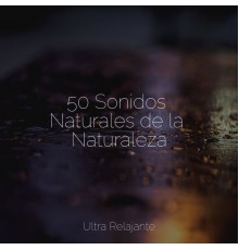 Meditação Zen, Musica Para Dormir, Unidad de música zen relajante - 50 Sonidos Naturales de la Naturaleza