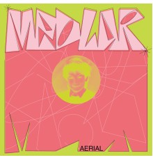 Medlar - Aerial