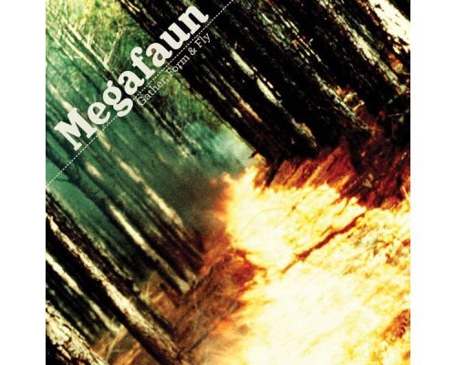 Megafaun - Gather, Form & Fly