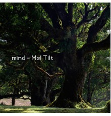 Mel Tilt - mind