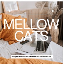 Mellow Cats - Background Music to Listen to When You Work Hard