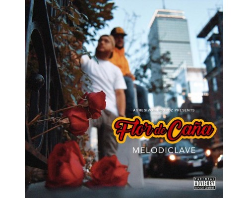 Melodiclave - Flor de Caña