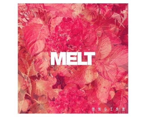 Melt - Engine