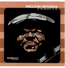 Melvin Sparks - It Is What It Is