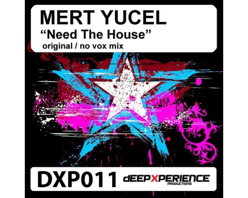 Mert yucel - Need The House