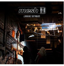 Mesh - Looking Skyward