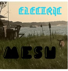 Mesh - Electric