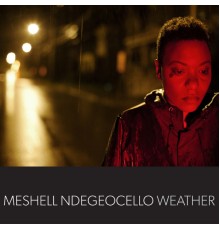 Meshell Ndegeocello - Weather