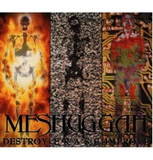 Meshuggah - Destroy Erase Improve  (Reloaded)