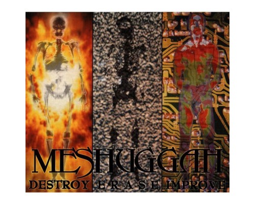 Meshuggah - Destroy Erase Improve  (Reloaded)