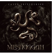 Meshuggah - Catch Thirty Three