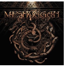 Meshuggah - The Ophidian Trek (Live)