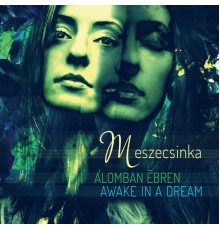 Meszecsinka - Álomban Ébren