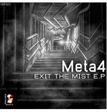 Meta4 - Exit the Mist