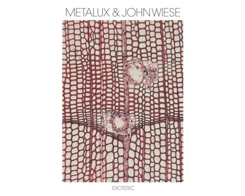 Metalux & John Wiese - Exoteric