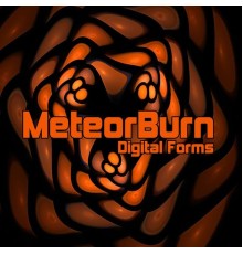 MeteorBurn - Digital Forms