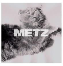 Metz - Dirty Shirt