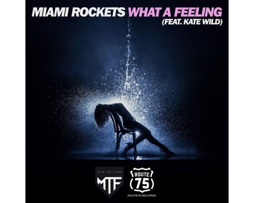 Miami Rockets - What a Feeling