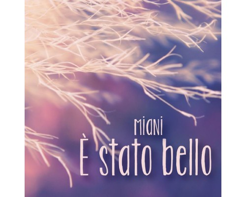 Miani - E' Stato Bello