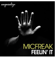 Micfreak - Feelin' It (The Album)