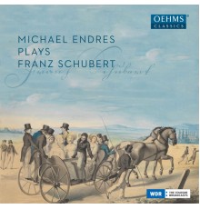 Michael Endres - Schubert : Piano Works