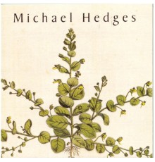 Michael Hedges - Taproot